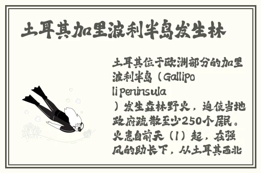 羞羞漫画为成人